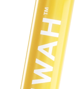 Mwah Mango Mamacita 1G disposable lip gloss vape pen