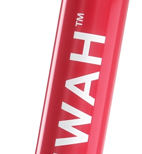 Mwah She Ate Strawberry 1G disposable lip gloss vape pen